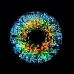 Meet your Posher, Evan